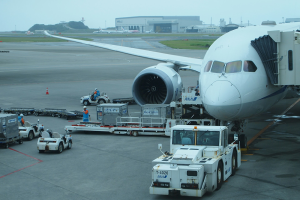 Carriel Sur busca convertirse en plataforma de importación y exportación aérea